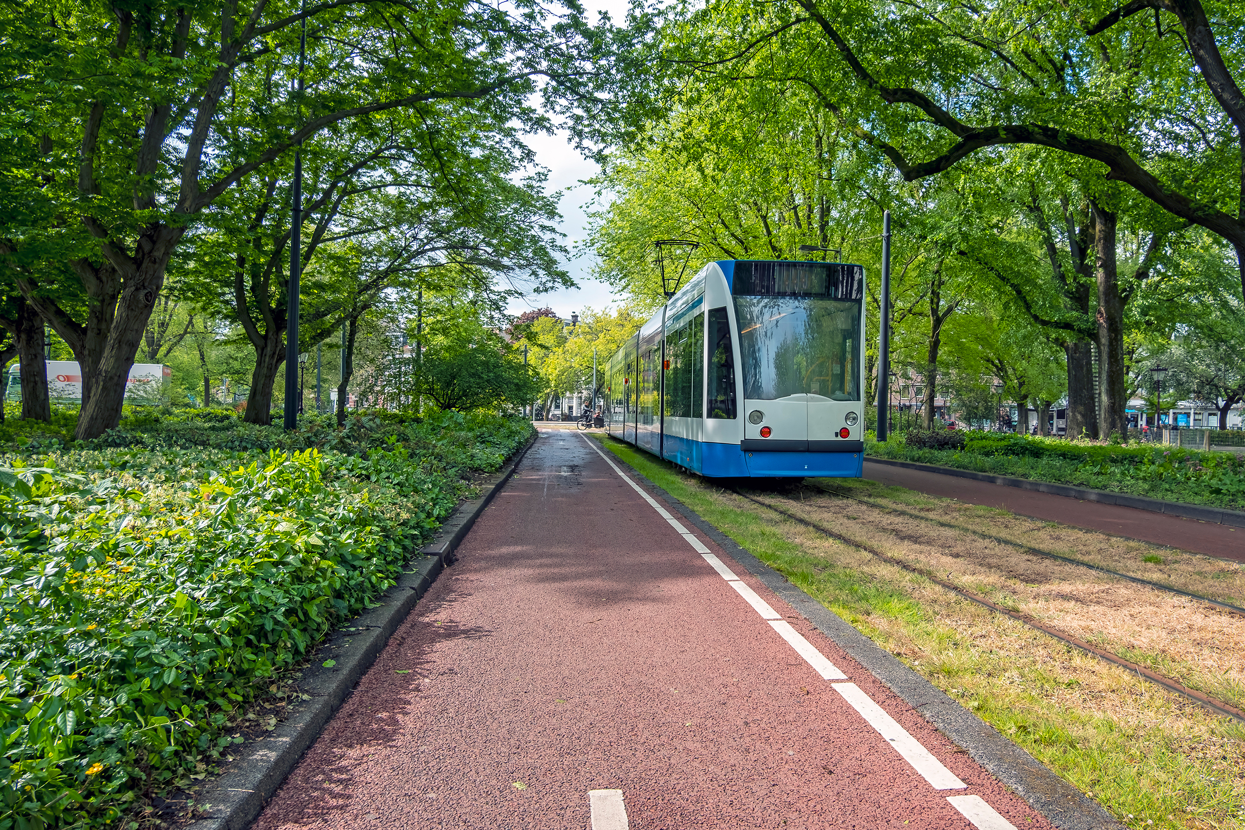 Tram rijdt door groene laan in de stad met fietspad ernaast.